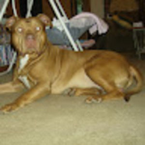 Meet your Posher, Jeffery